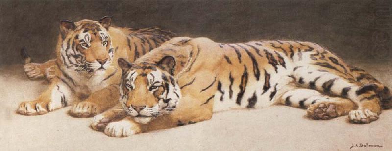 John Charles Dollman Two Wild Tigers china oil painting image